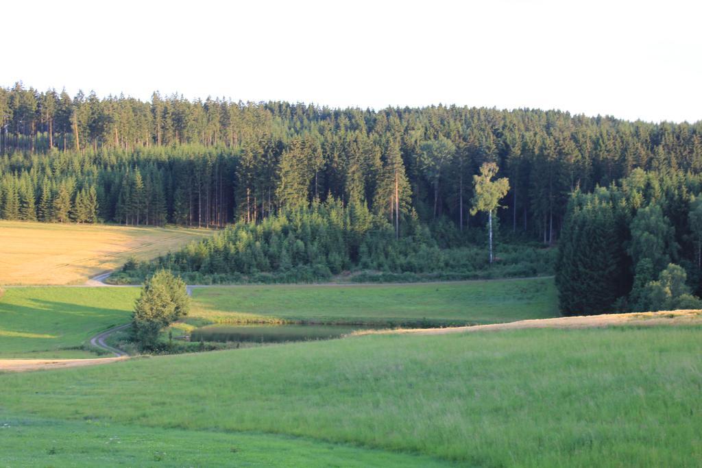 Landgasthof Haueis Marktleugast Extérieur photo