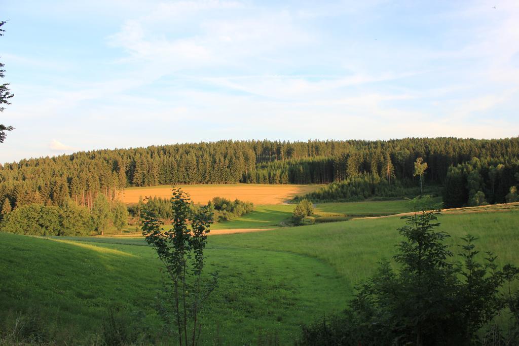 Landgasthof Haueis Marktleugast Extérieur photo