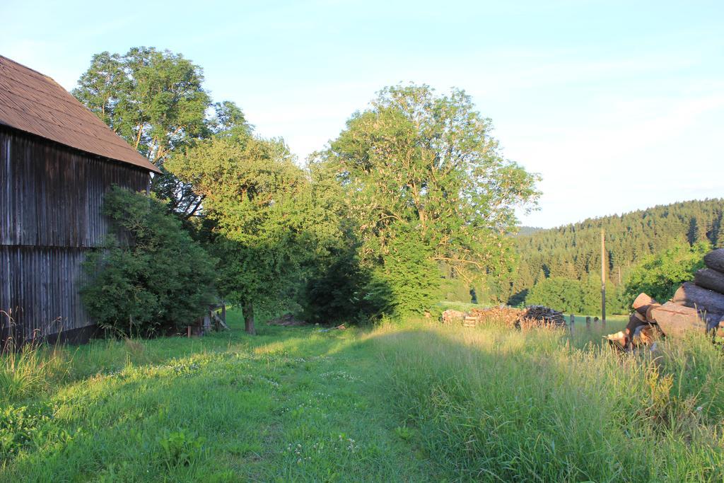 Landgasthof Haueis Marktleugast Extérieur photo